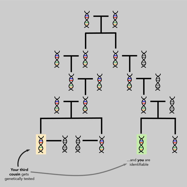 hypothetical family tree